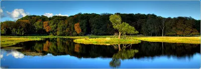 Karolina Kupczyk Prywatny Neurolog Dzieci Dorośli